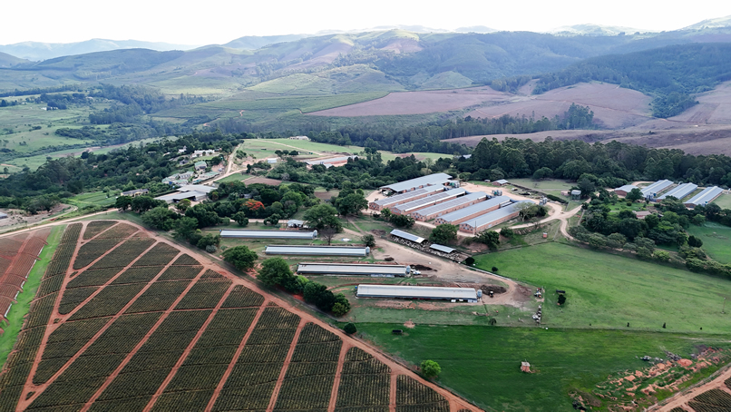 Where Agriculture Meets Modern Development